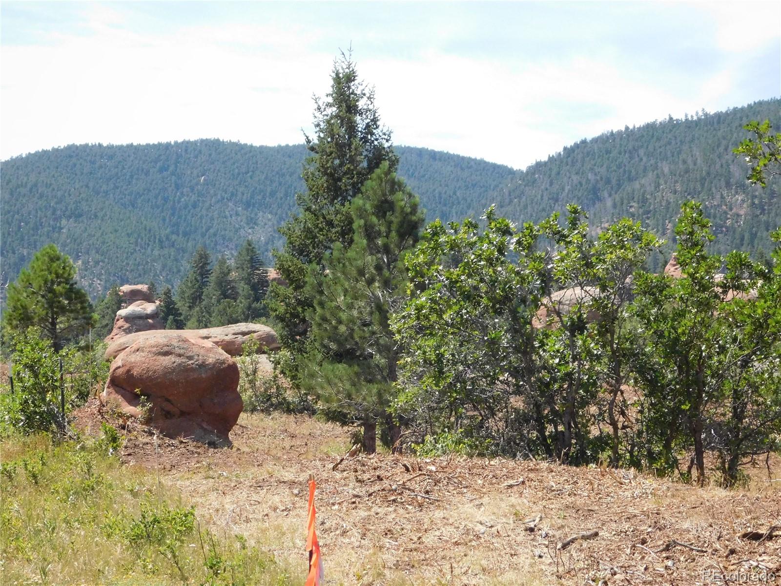 6382 Country Club Drive Larkspur CO 80118