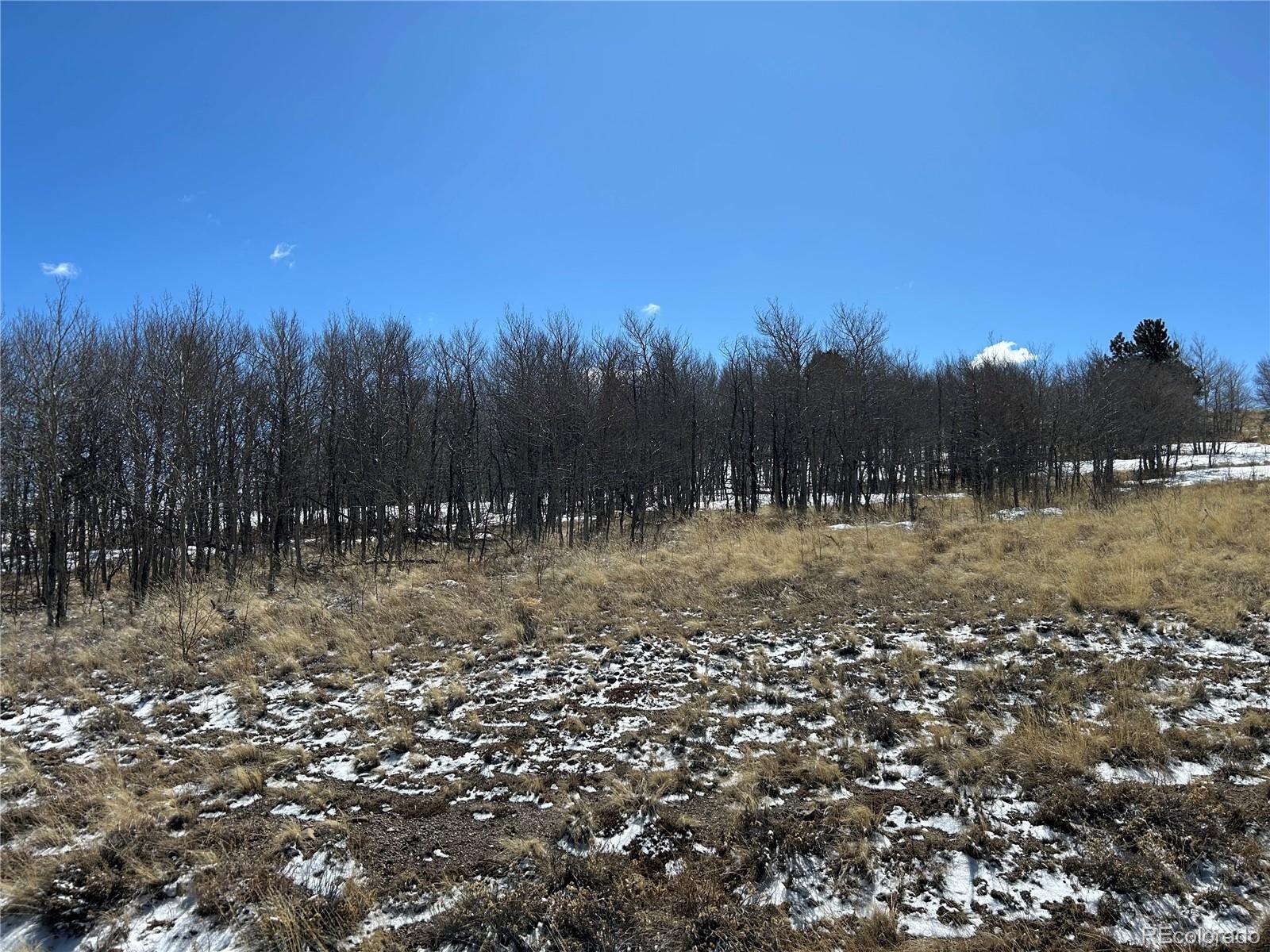 68 Mower Court Hartsel CO 80449