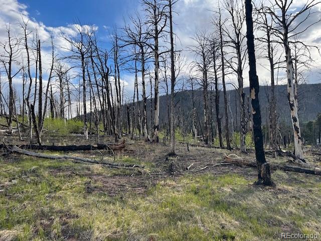 Lot 2248 Buonaventura Lane Fort Garland CO 81133