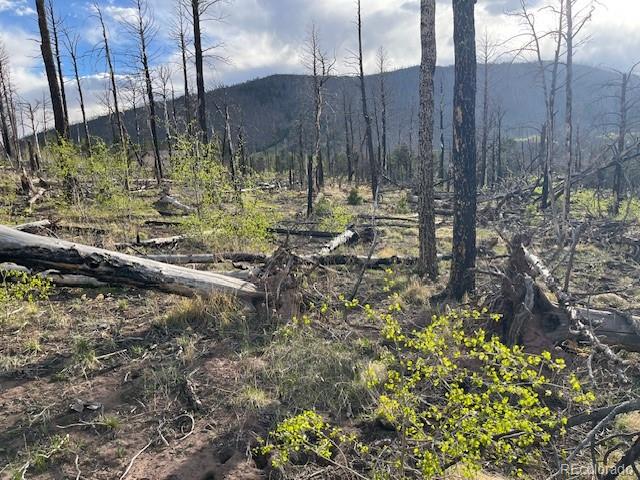 Lot 2248 Buonaventura Lane Fort Garland CO 81133