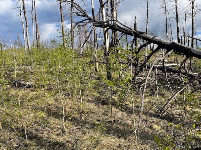 Lot 2248 Buonaventura Lane Fort Garland CO 81133