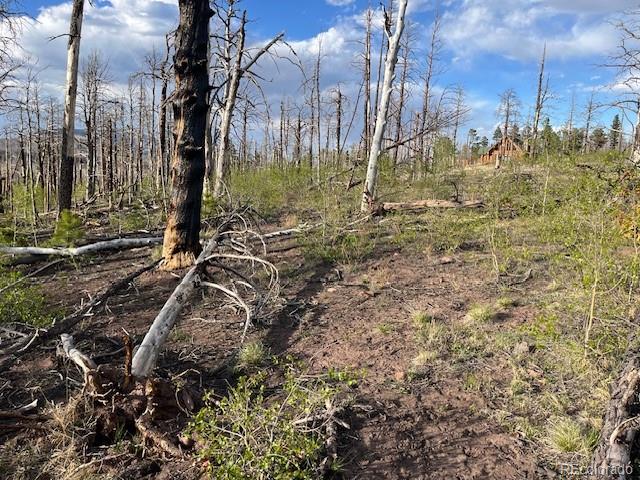 Lot 2248 Buonaventura Lane Fort Garland CO 81133