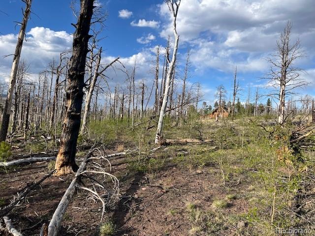 Lot 2248 Buonaventura Lane Fort Garland CO 81133