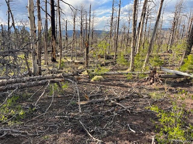 Lot 2248 Buonaventura Lane Fort Garland CO 81133
