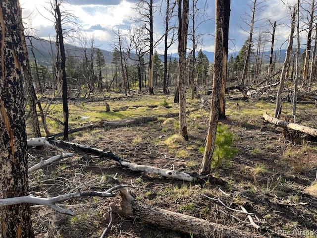 Lot 2248 Buonaventura Lane Fort Garland CO 81133