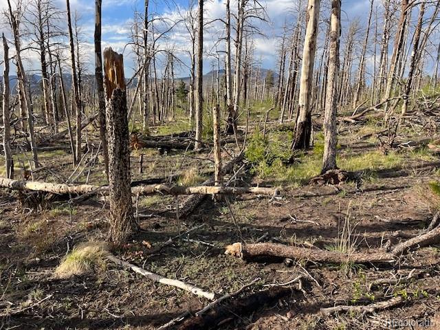 Lot 2248 Buonaventura Lane Fort Garland CO 81133