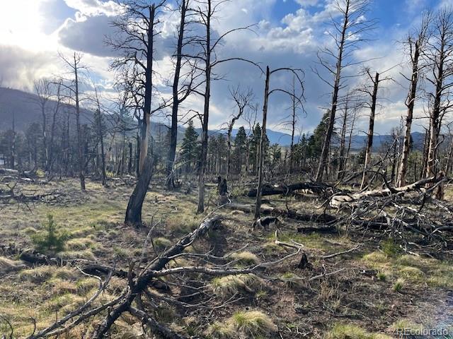 Lot 2248 Buonaventura Lane Fort Garland CO 81133