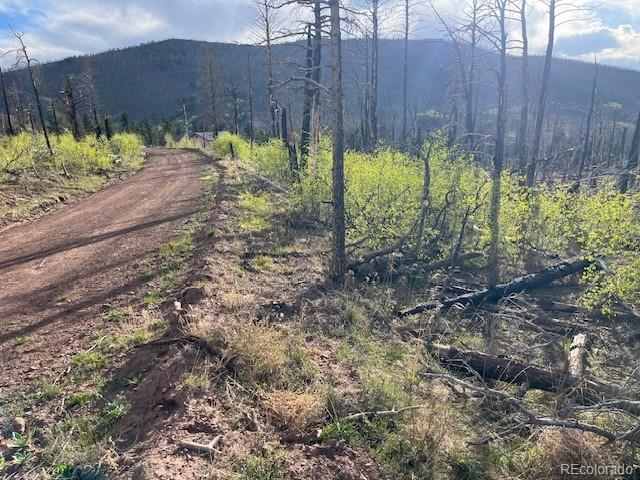 Lot 2248 Buonaventura Lane Fort Garland CO 81133