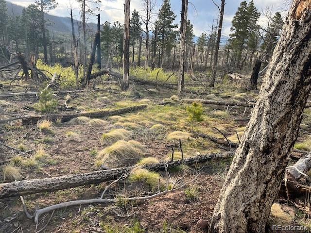 Lot 2248 Buonaventura Lane Fort Garland CO 81133
