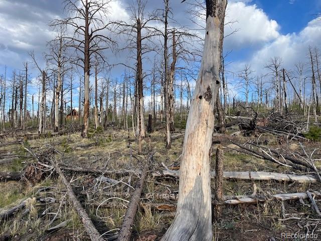 Lot 2248 Buonaventura Lane Fort Garland CO 81133