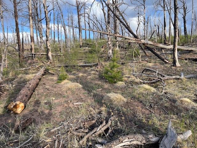 Lot 2248 Buonaventura Lane Fort Garland CO 81133