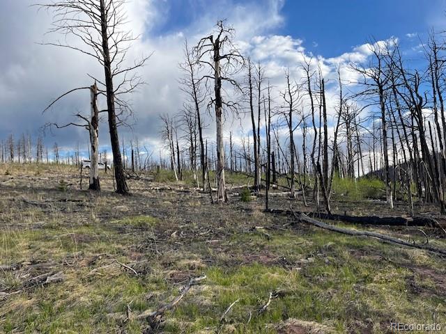 Lot 2248 Buonaventura Lane Fort Garland CO 81133