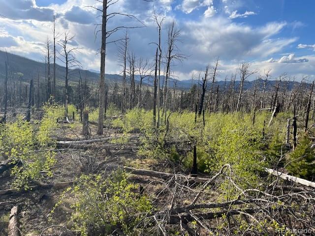 Lot 2248 Buonaventura Lane Fort Garland CO 81133