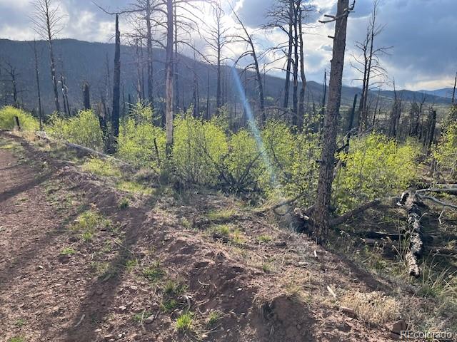 Lot 2248 Buonaventura Lane Fort Garland CO 81133