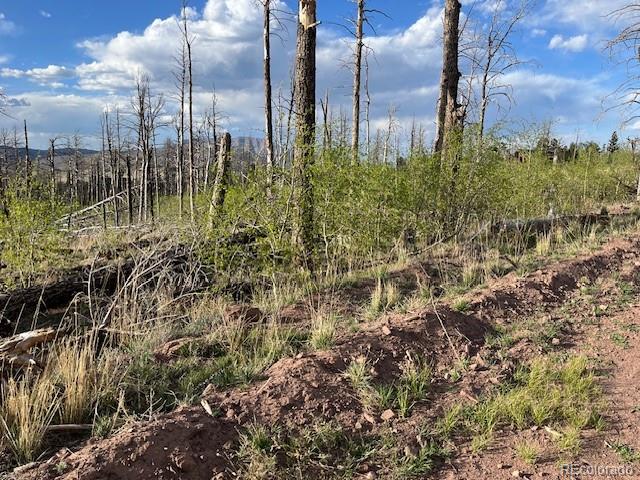 Lot 2248 Buonaventura Lane Fort Garland CO 81133