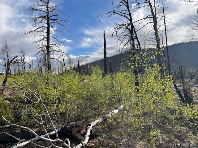 Lot 2248 Buonaventura Lane Fort Garland CO 81133