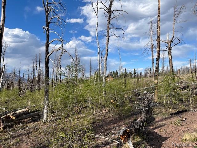 Lot 2248 Buonaventura Lane Fort Garland CO 81133