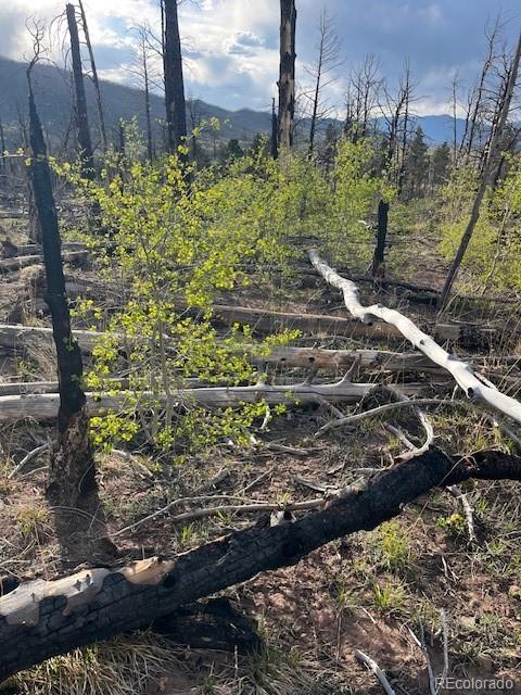 Lot 2248 Buonaventura Lane Fort Garland CO 81133