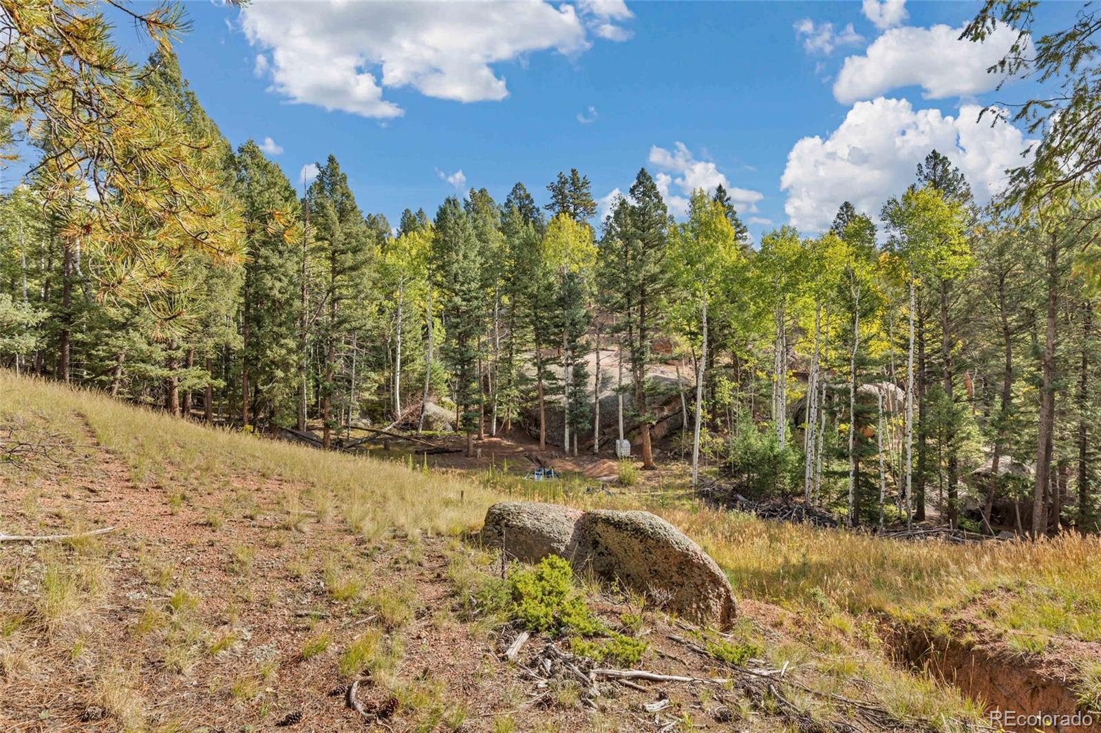 926 Pinon Lane Florissant CO 80816