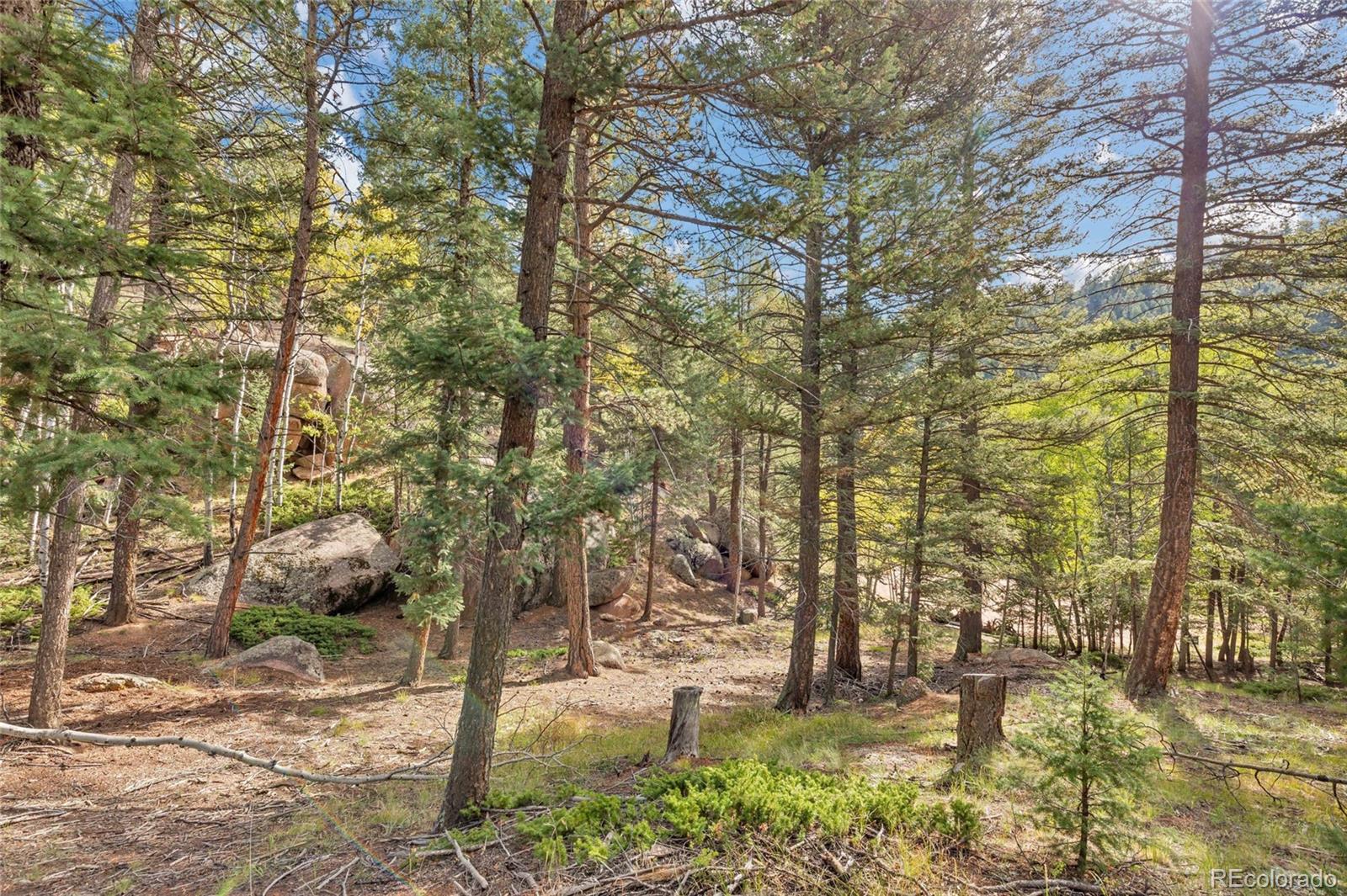926 Pinon Lane Florissant CO 80816