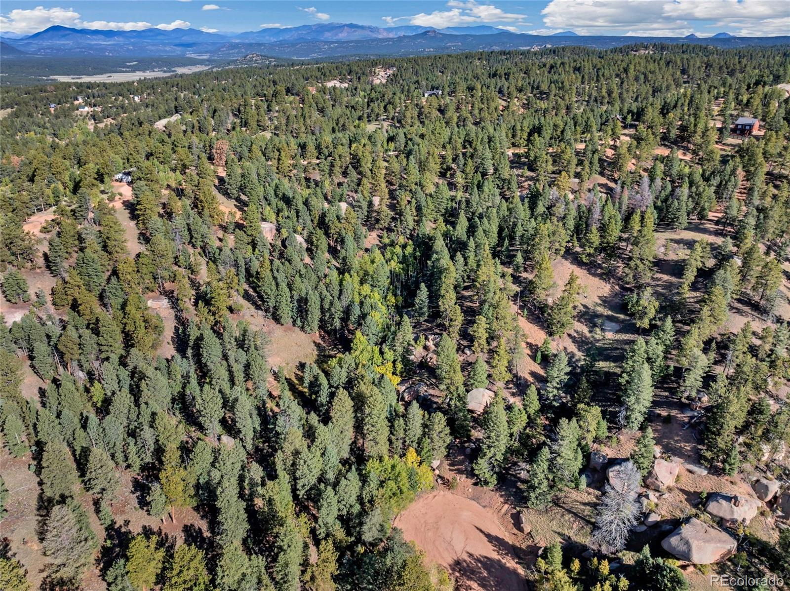 926 Pinon Lane Florissant CO 80816