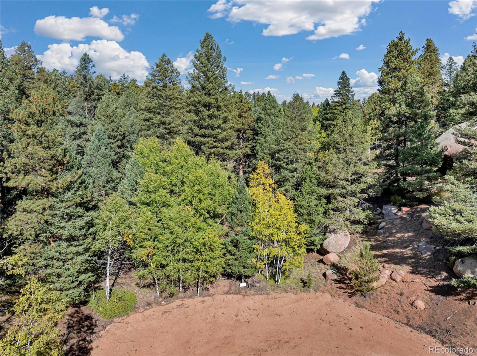 926 Pinon Lane Florissant CO 80816