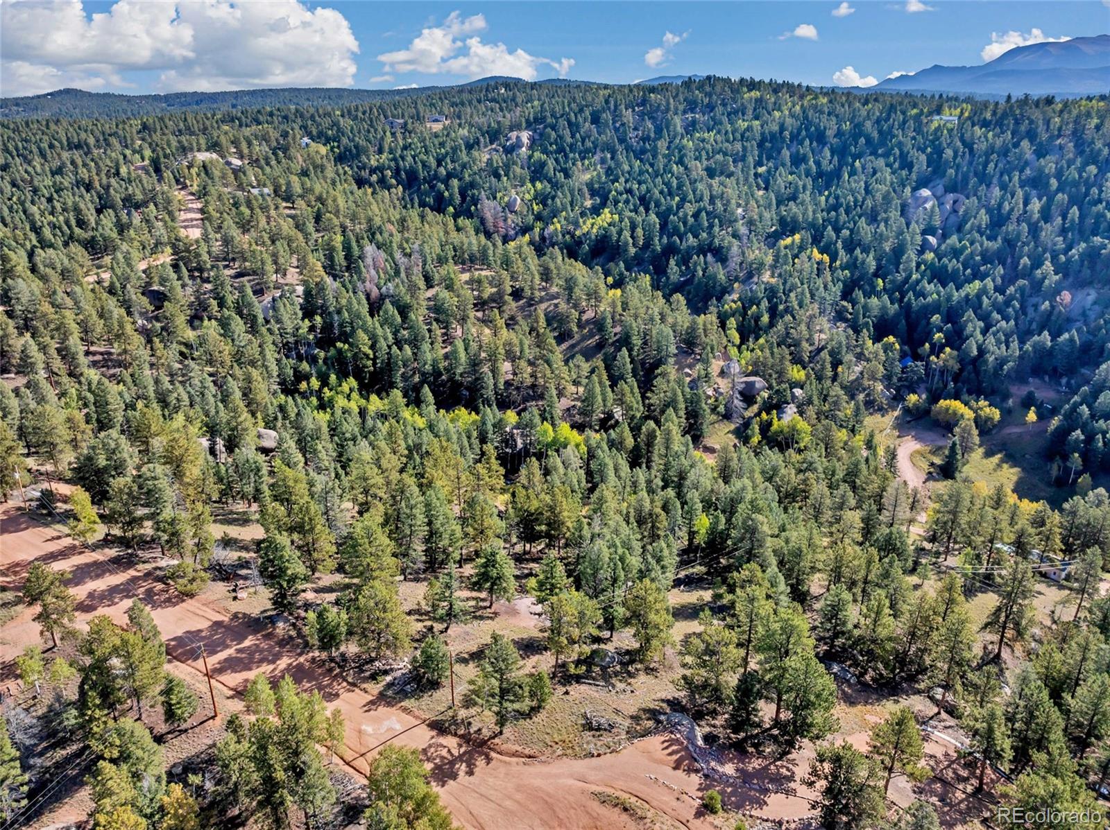 926 Pinon Lane Florissant CO 80816