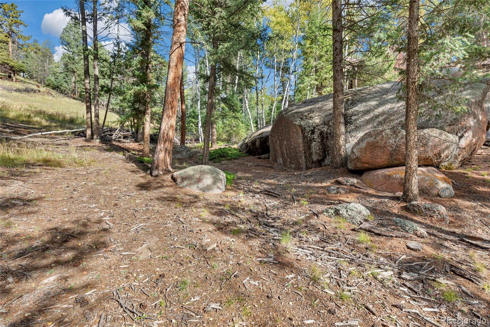 926 Pinon Lane Florissant CO 80816