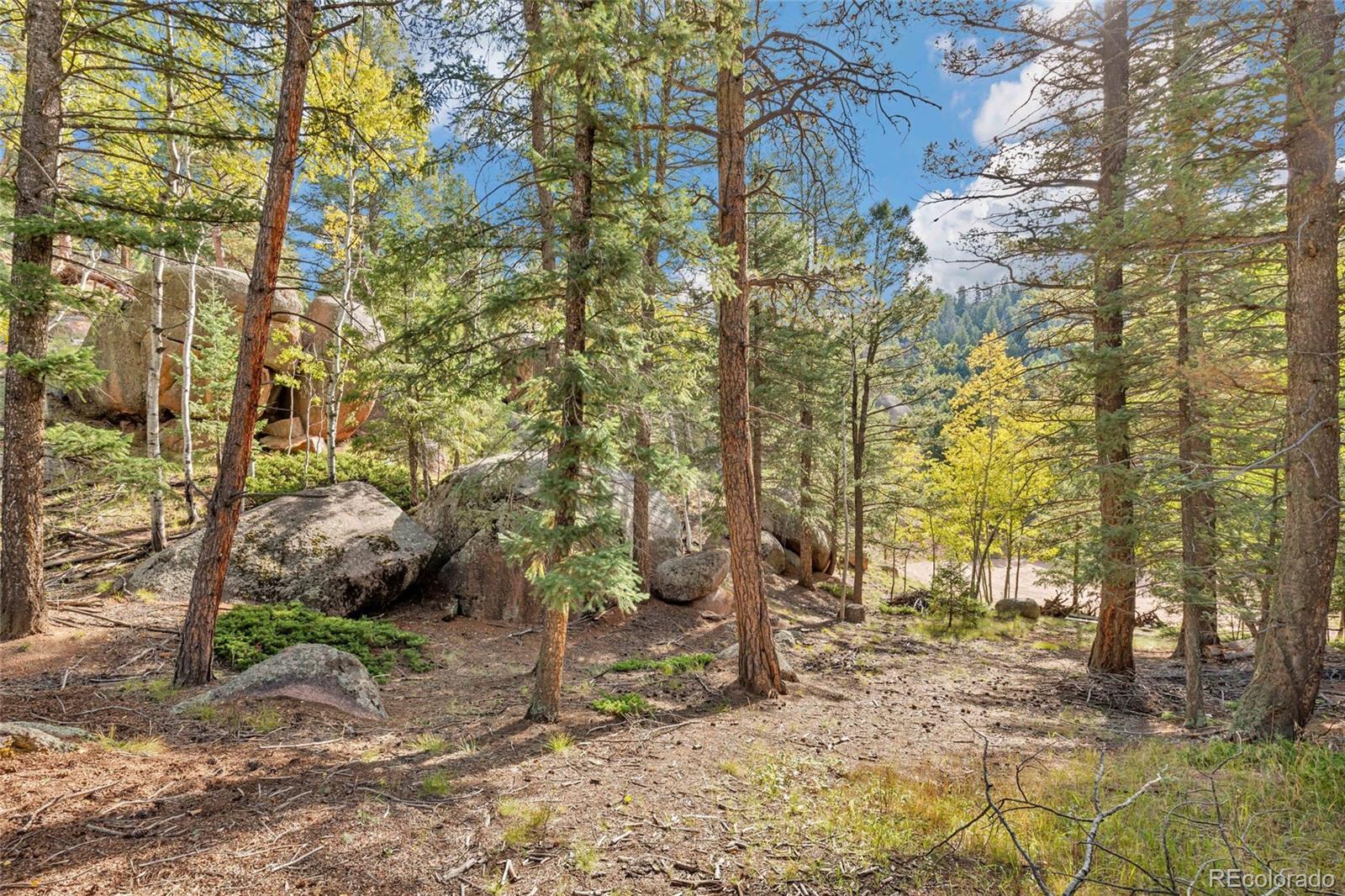 926 Pinon Lane Florissant CO 80816