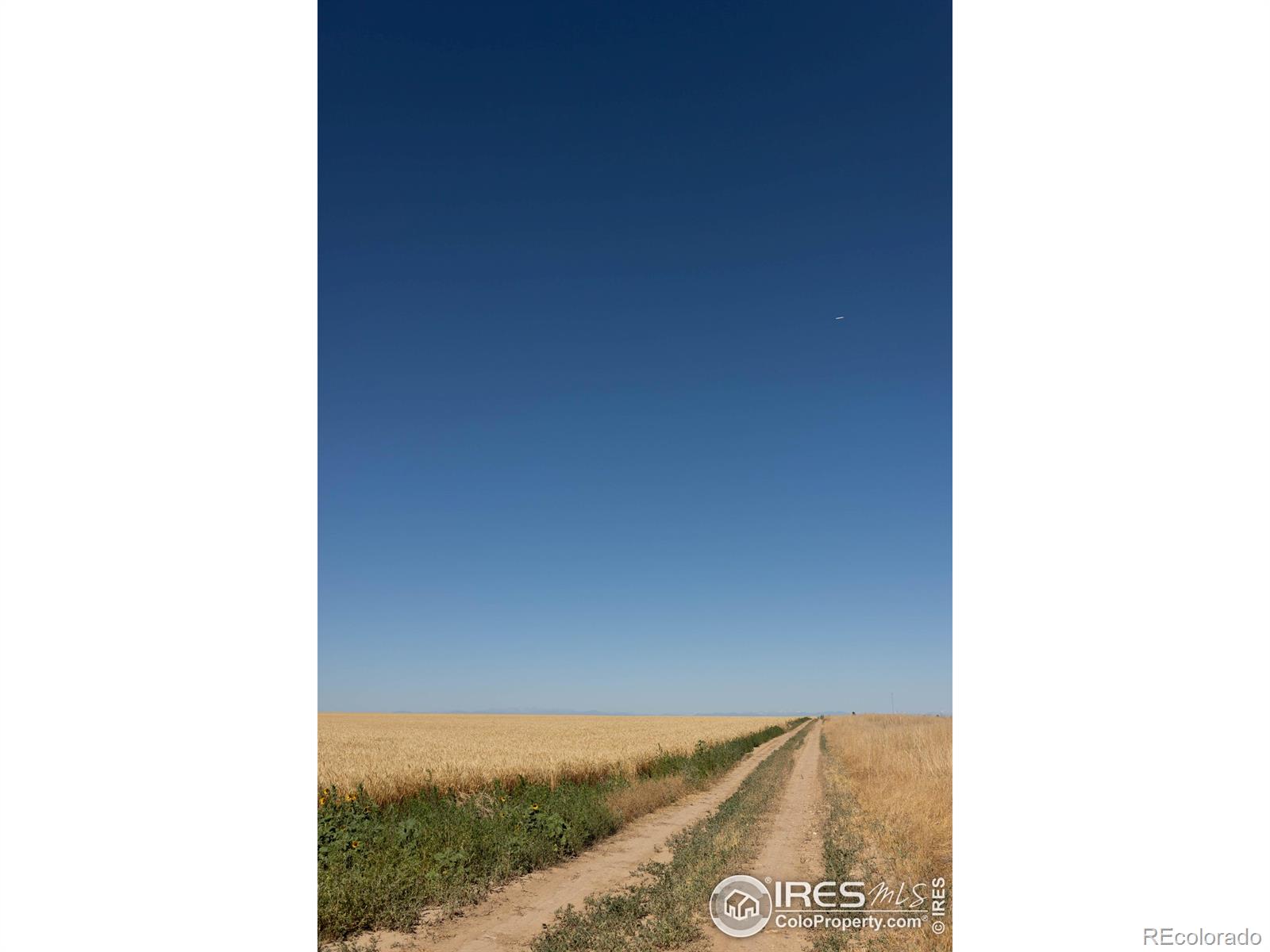 1 Vacant Land Penrith Bennett CO 80102