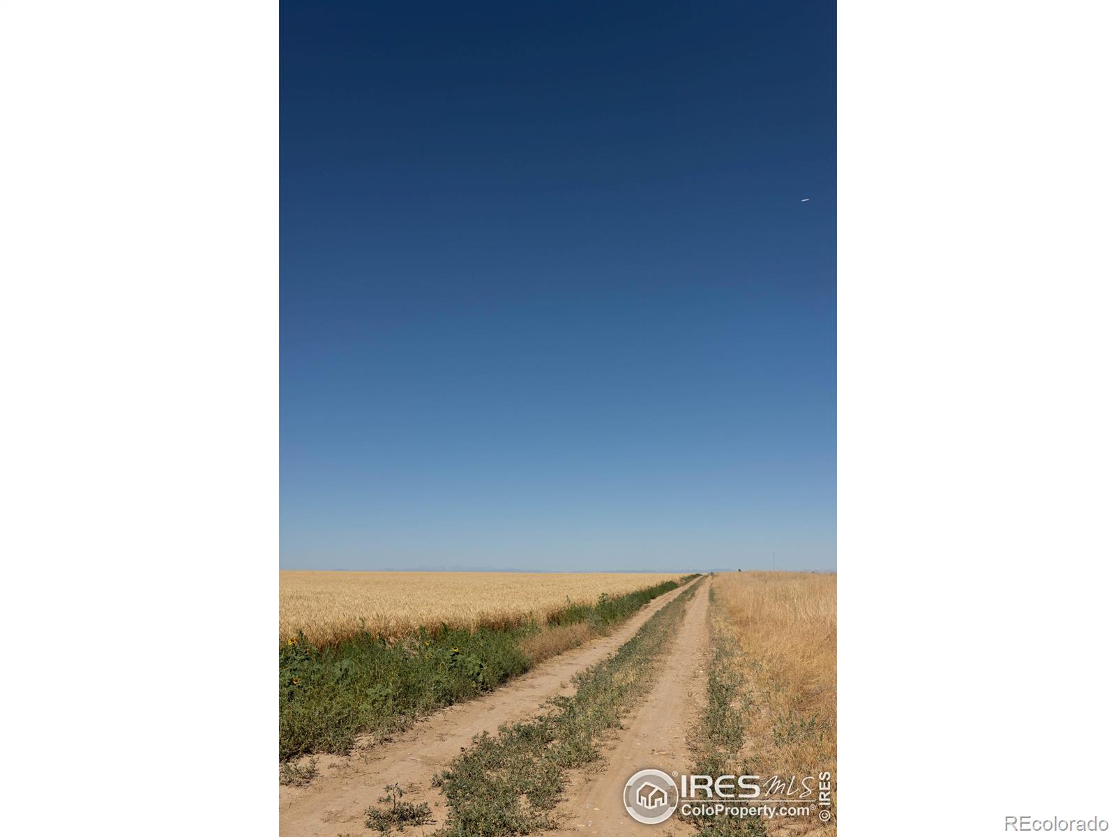 1 Vacant Land Penrith Bennett CO 80102