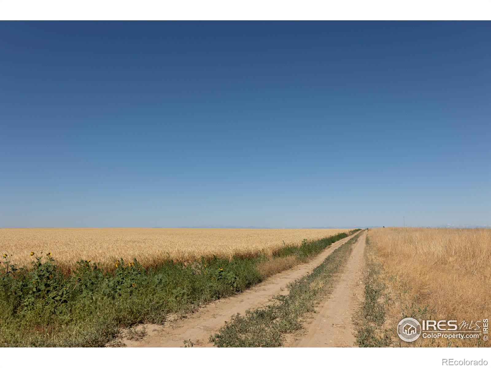 1 Vacant Land Penrith Bennett CO 80102
