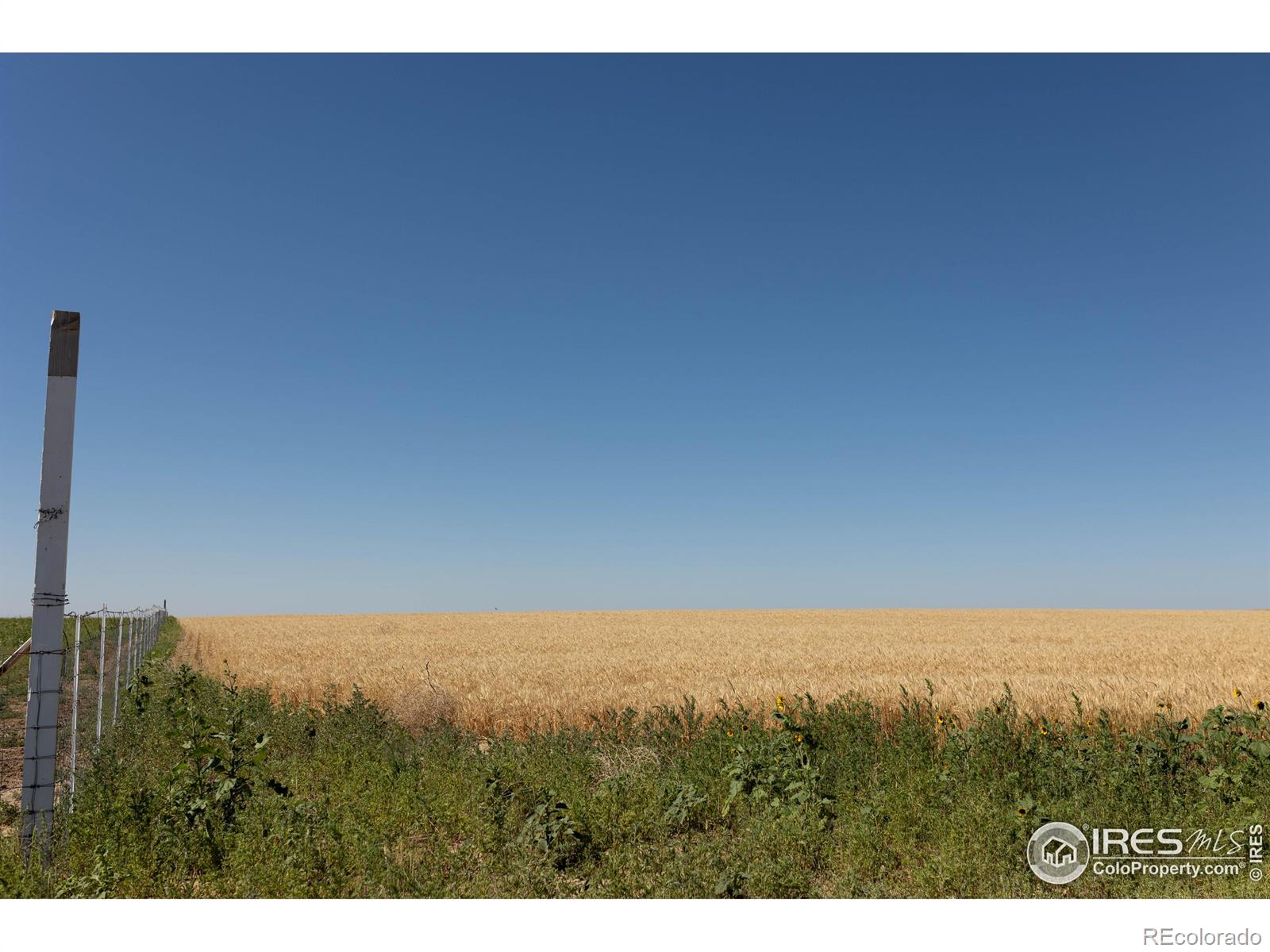 1 Vacant Land Penrith Bennett CO 80102