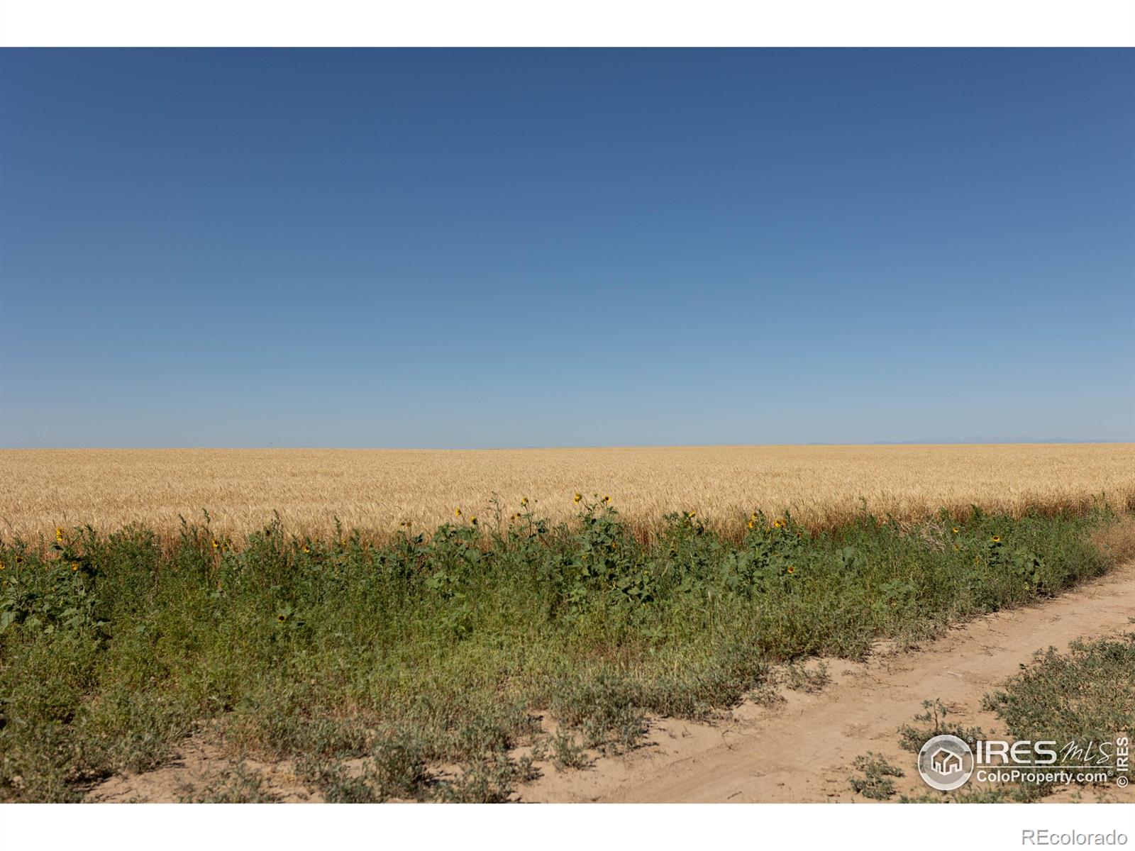 1 Vacant Land Penrith Bennett CO 80102