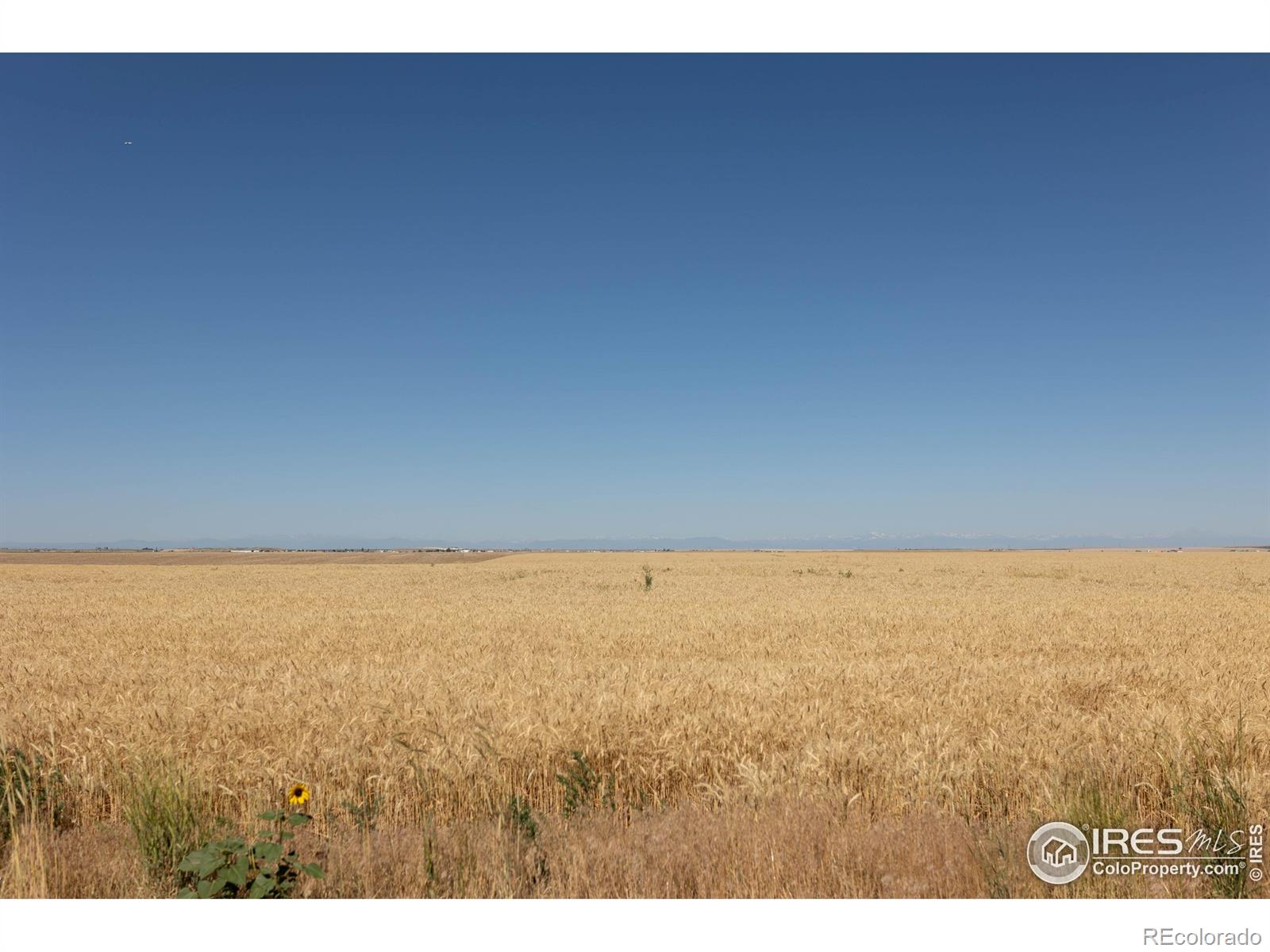 1 Vacant Land Penrith Bennett CO 80102