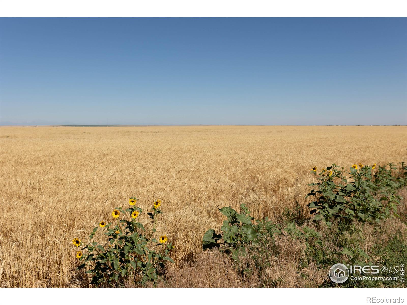 1 Vacant Land Penrith Bennett CO 80102