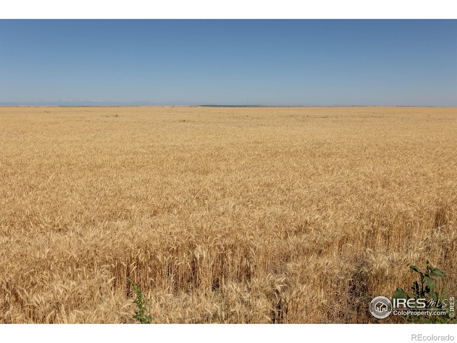 1 Vacant Land Penrith Bennett CO 80102