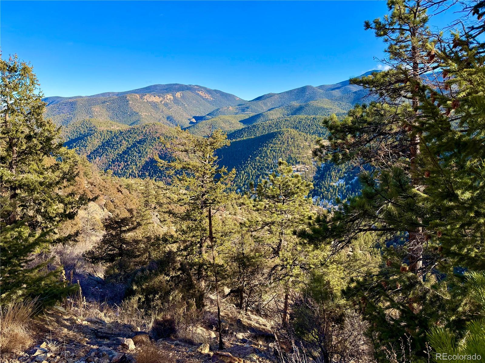 1961 Fools Gold Road Idaho Springs CO 80452