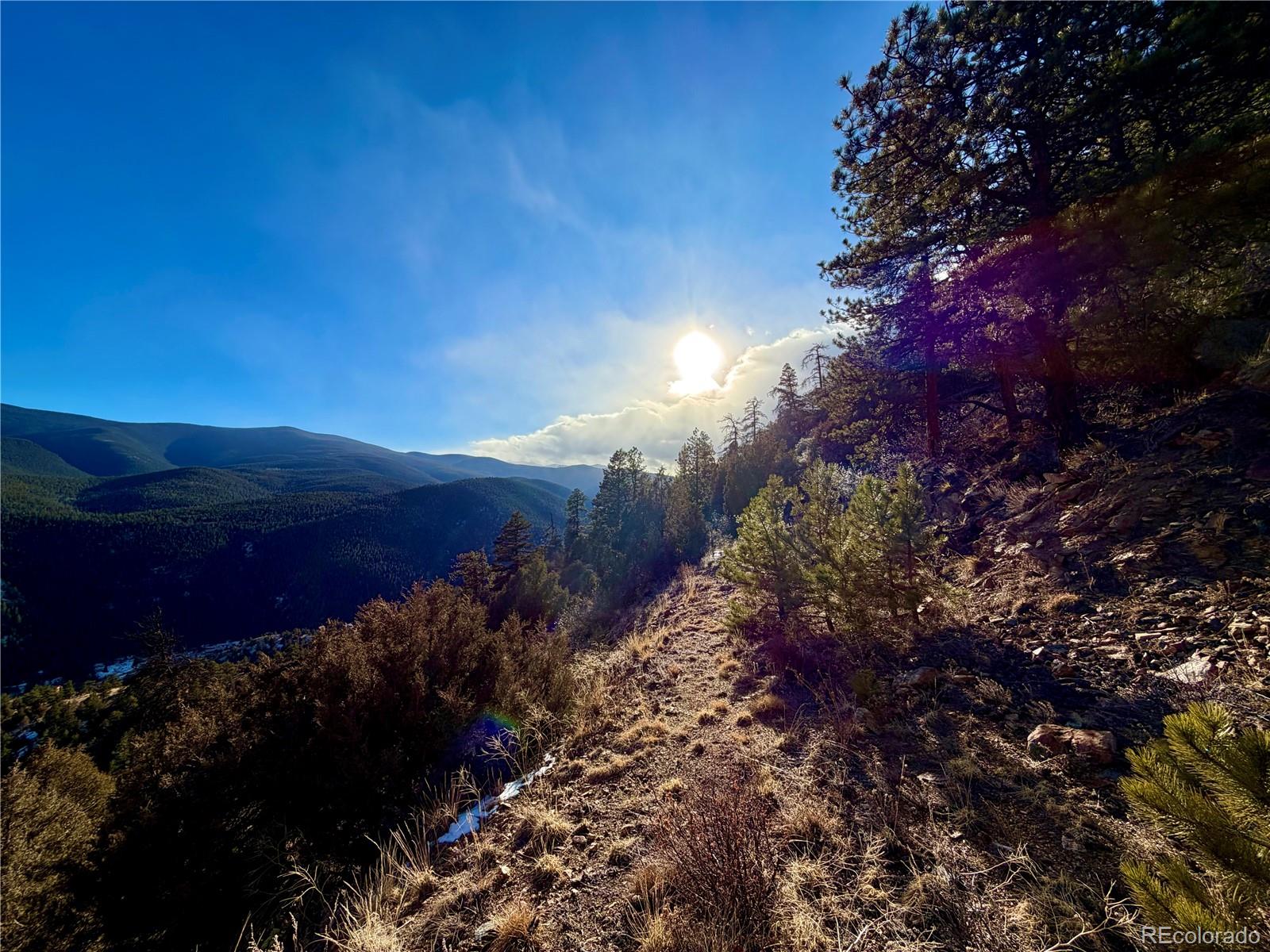 1961 Fools Gold Road Idaho Springs CO 80452