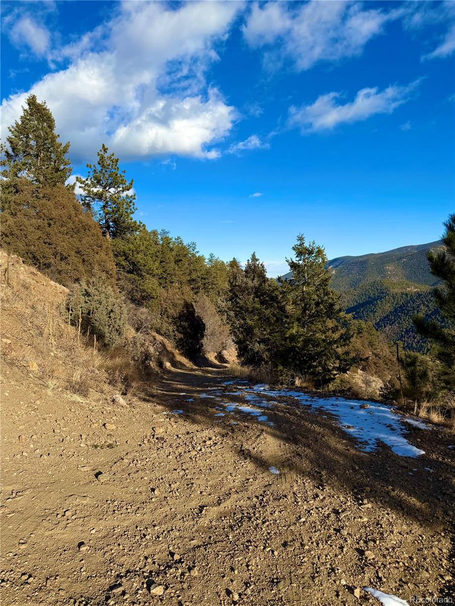 1961 Fools Gold Road Idaho Springs CO 80452