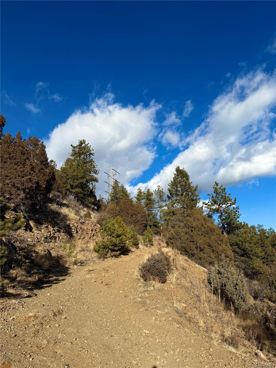 1961 Fools Gold Road Idaho Springs CO 80452