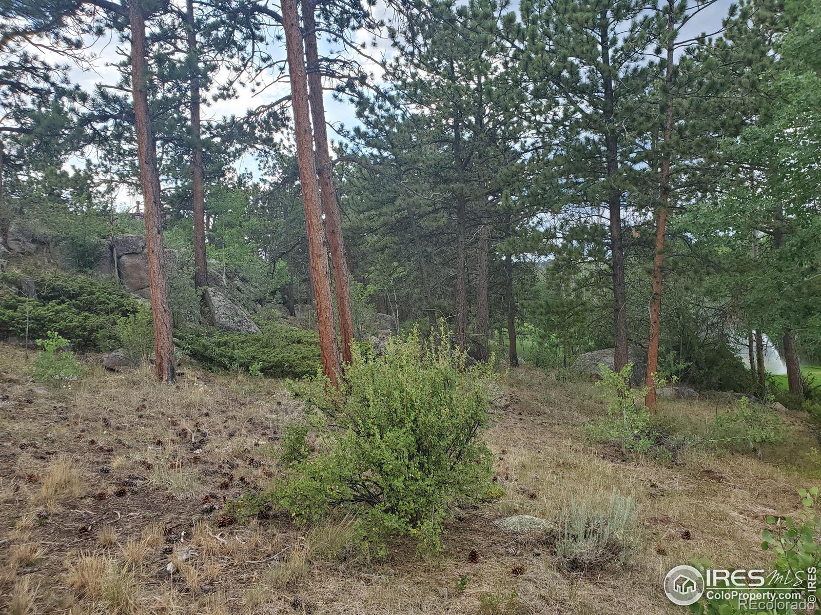 1532 Fox Acres Drive W Red Feather Lakes CO 80545