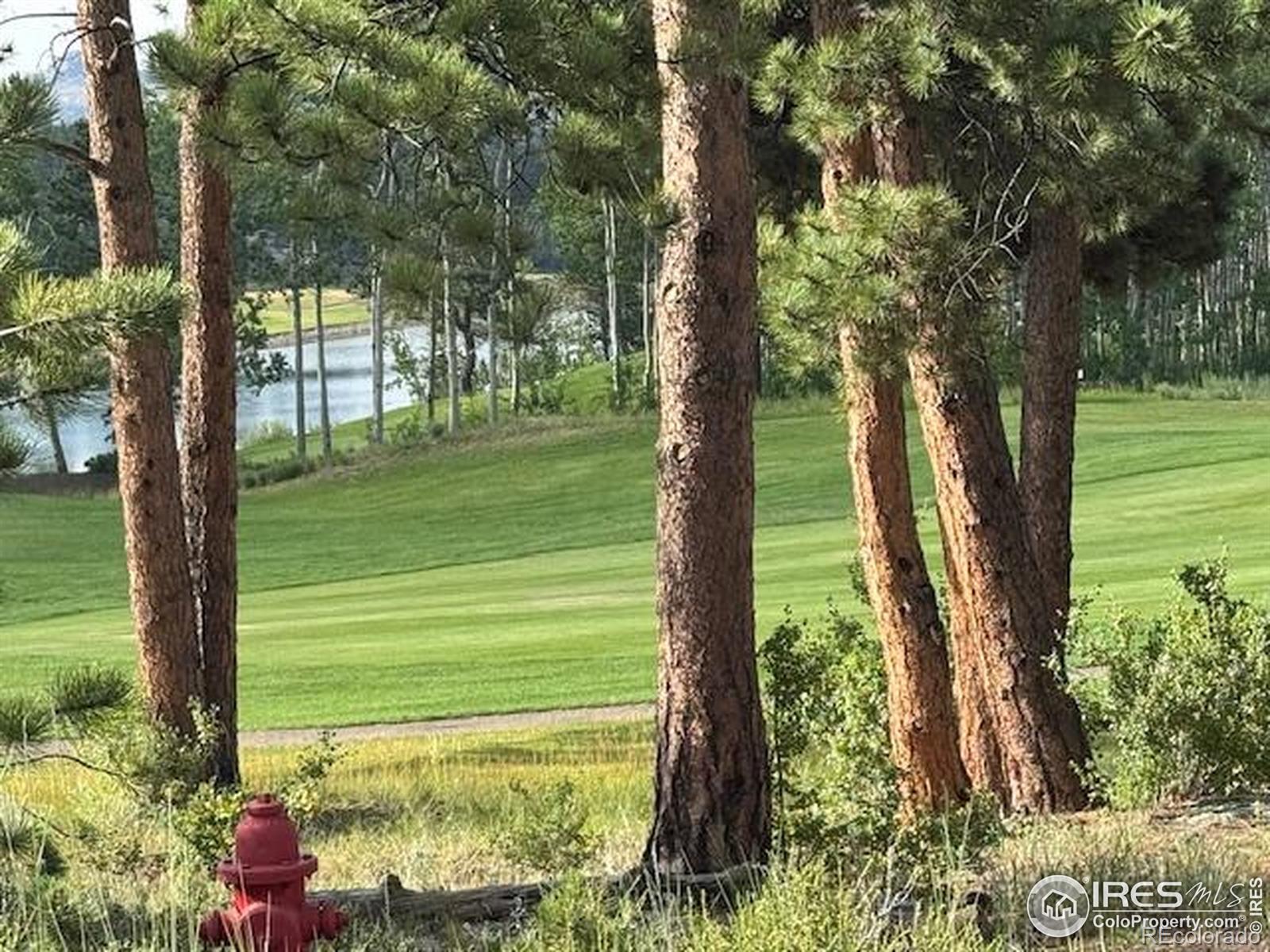 1532 Fox Acres Drive W Red Feather Lakes CO 80545