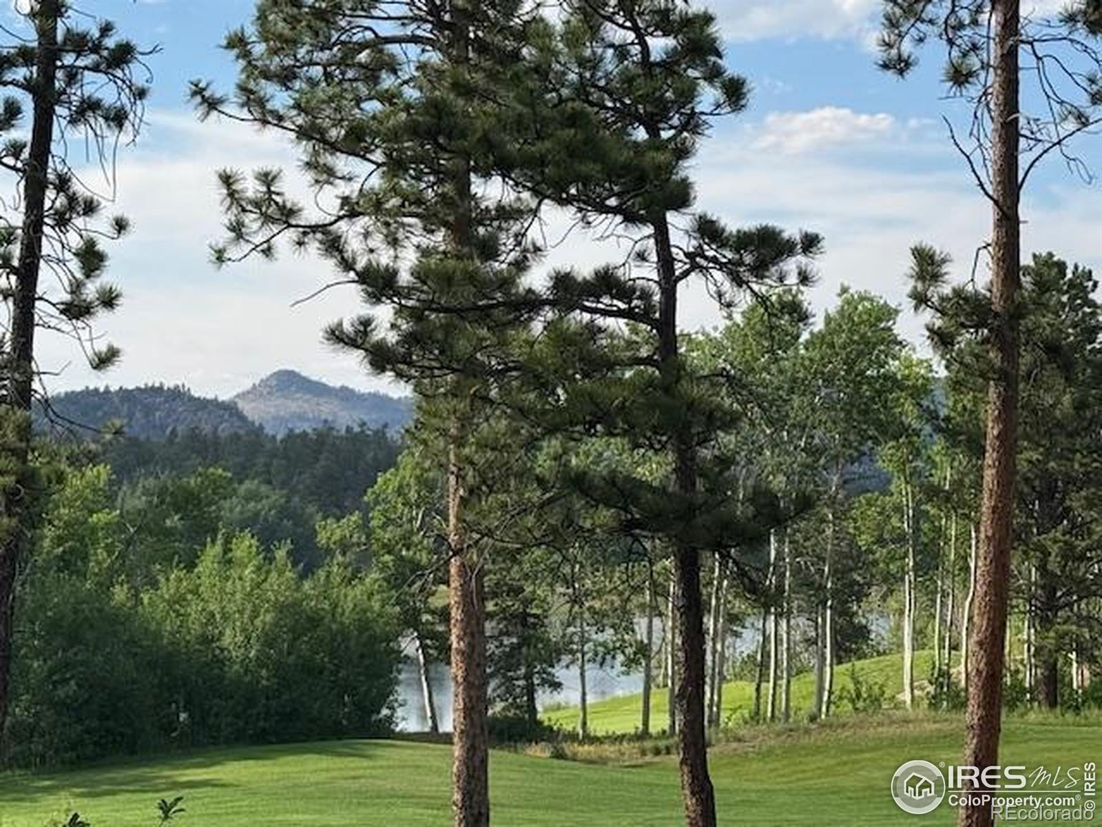1532 Fox Acres Drive W Red Feather Lakes CO 80545