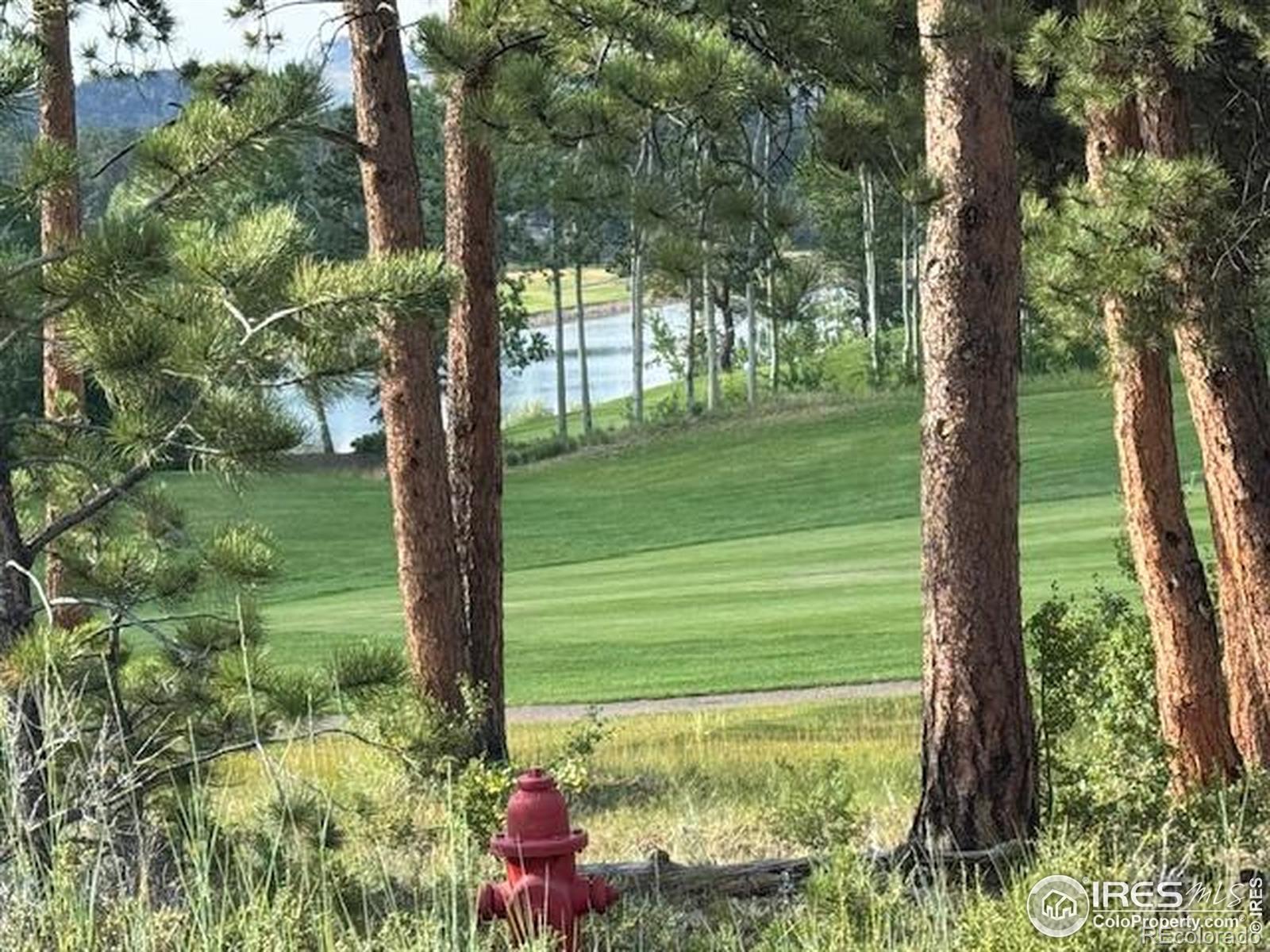 1532 Fox Acres Drive W Red Feather Lakes CO 80545