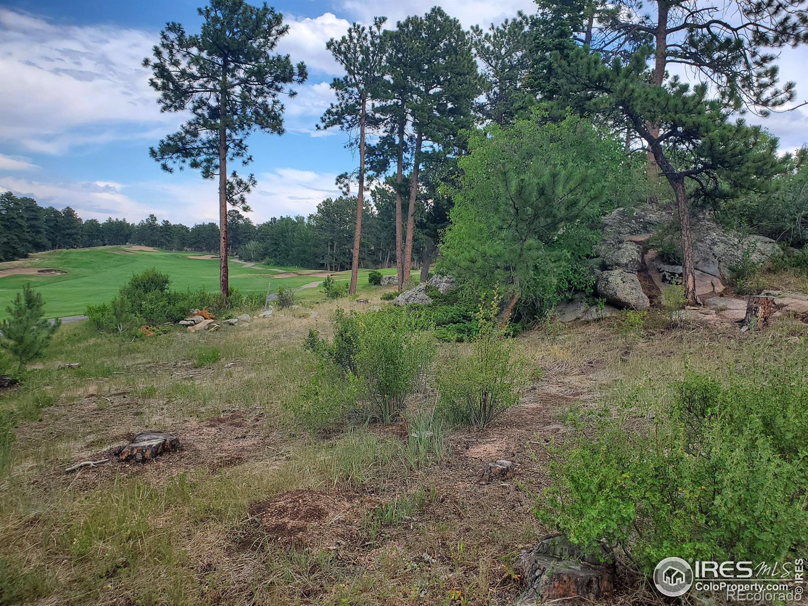 1532 Fox Acres Drive W Red Feather Lakes CO 80545