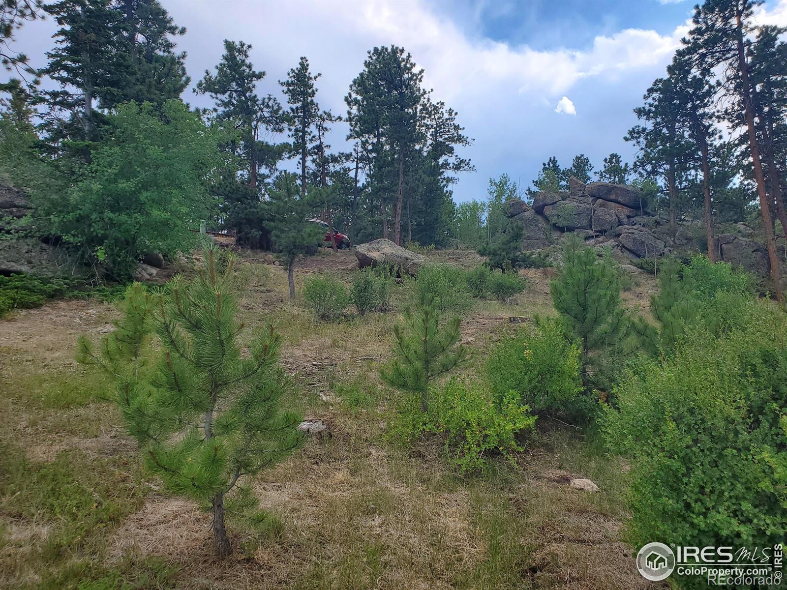 1532 Fox Acres Drive W Red Feather Lakes CO 80545