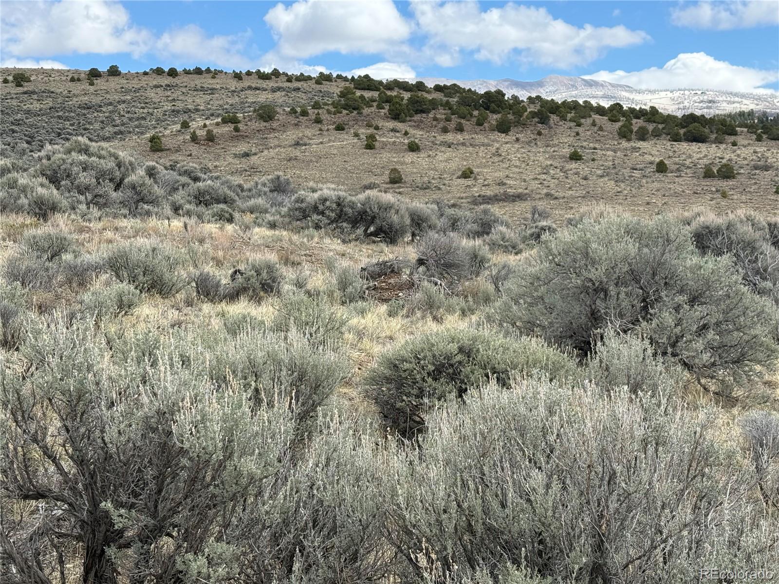 Lot 297 Boothby Lane Fort Garland CO 81133