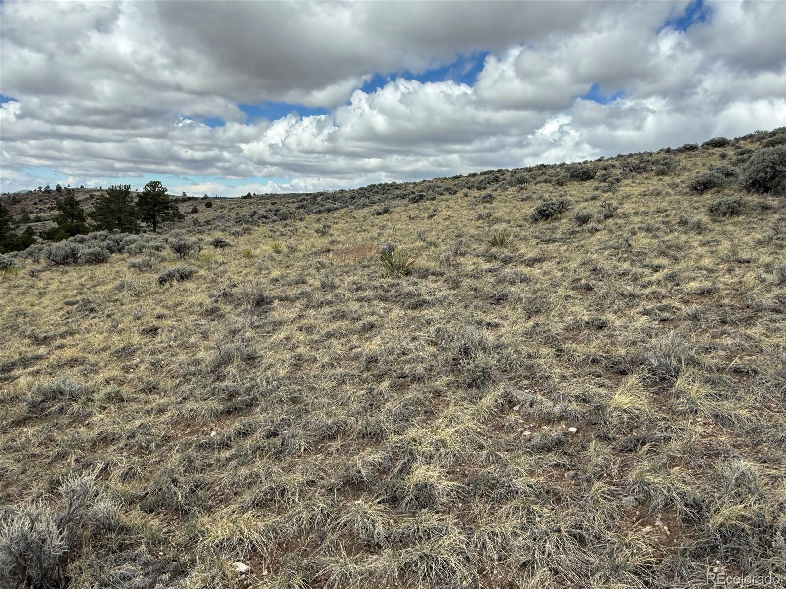 Lot 297 Boothby Lane Fort Garland CO 81133
