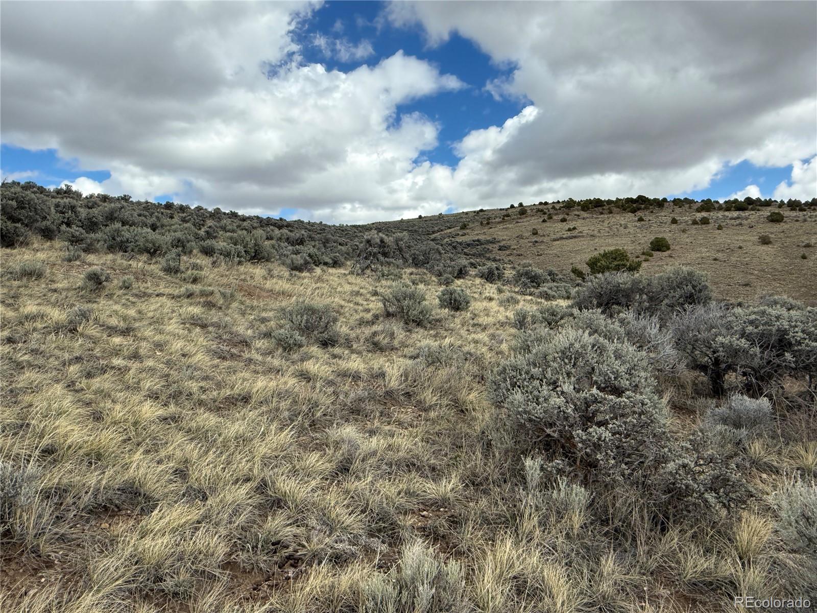 Lot 297 Boothby Lane Fort Garland CO 81133